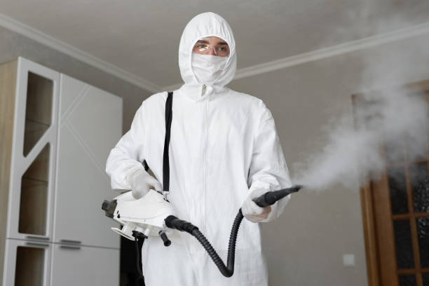 Why You Should Choose Our Mold Remediation Services in Barron, WI